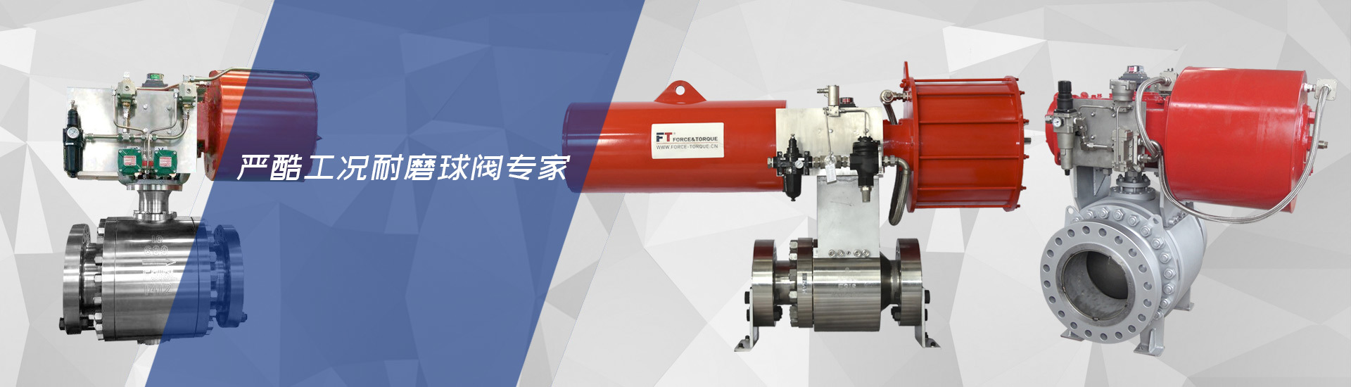 今年会有限公司